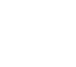 the Pav logo